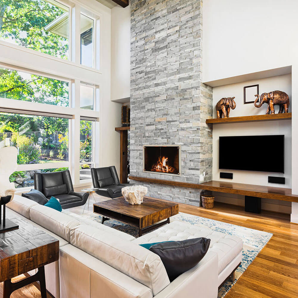 TotalView Fireplace Doors Stoll